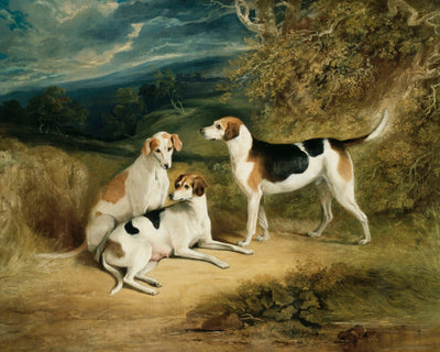 THE DUKE OF RUTLAND&