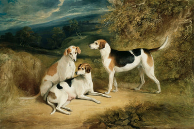 THE DUKE OF RUTLAND&