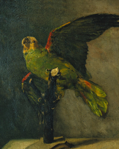 THE GREEN PARROT