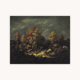 THE JEAN DE PARIS HEIGHTS IN THE FOREST OF FONTAINEBLEAU — Primary Image