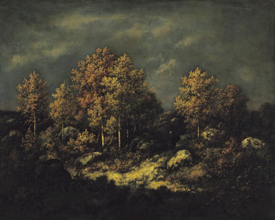 THE JEAN DE PARIS HEIGHTS IN THE FOREST OF FONTAINEBLEAU