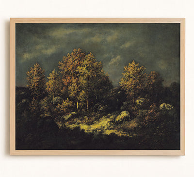 The Jean De Paris Heights in the Forest of Fontainebleau