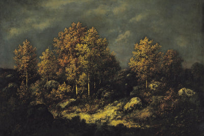 The Jean de Paris Heights in the Forest of Fontainebleau