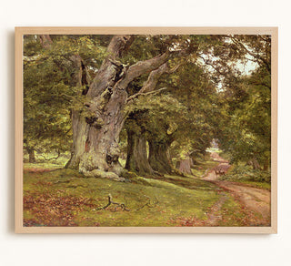 The Oak's Massive Trunk, Aldermaston Park, Berkshire