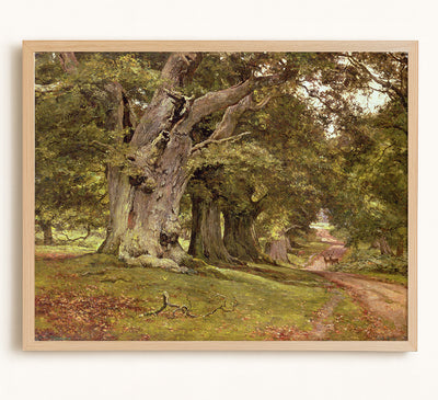 The Oak&