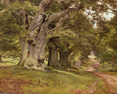THE OAK&