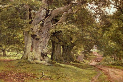 THE OAK&