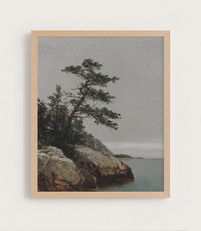 THE OLD PINE - Museum Quality Art