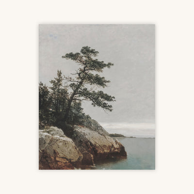 THE OLD PINE — Primary Image