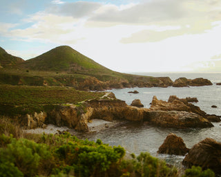 The Pacific Headlands