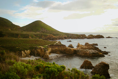 The Pacific Headlands