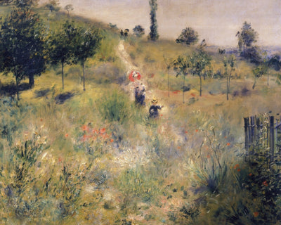 The Path Through the Long Grass