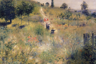 THE PATH THROUGH THE LONG GRASS