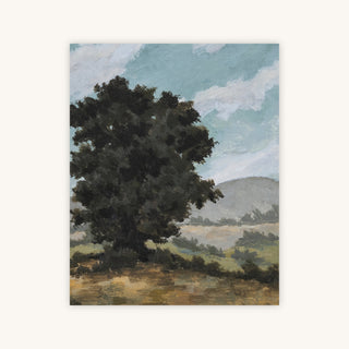 THE PICNIC PLACE — Primary Image