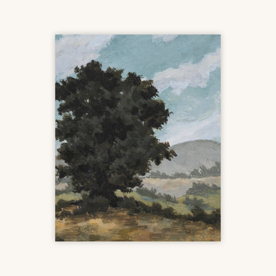 THE PICNIC PLACE — Primary Image