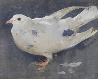 THE PIGEON - Museum Quality Art
