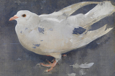 THE PIGEON - Museum Quality Art