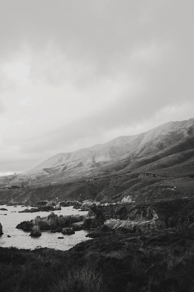 The Quiet Coastline