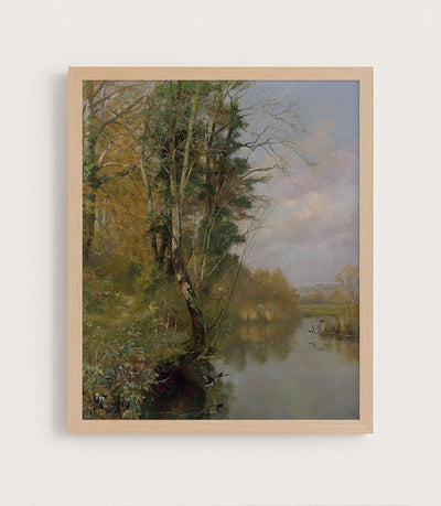 The River Frome