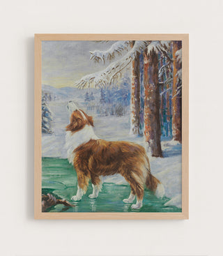 The Rough Collie Lad on a Frozen Pond