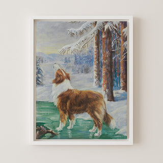 The Rough Collie Lad on a Frozen Pond