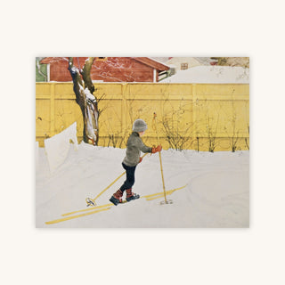 THE SKIER — Primary Image