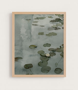 The Tale of the Lily Pond