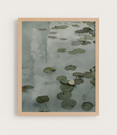 The Tale of the Lily Pond