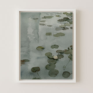 The Tale of the Lily Pond