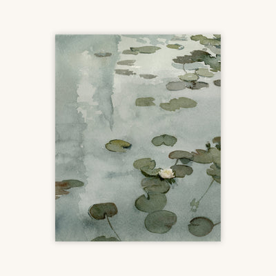 THE TALE OF THE LILY POND — Primary Image
