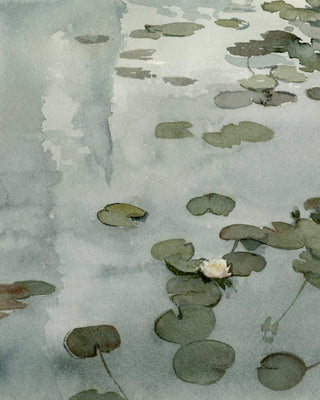 THE TALE OF THE LILY POND