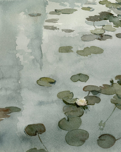 The Tale of the Lily Pond