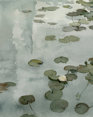 THE TALE OF THE LILY POND