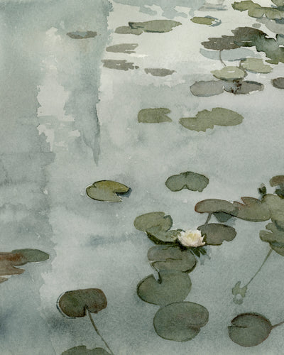 THE TALE OF THE LILY POND