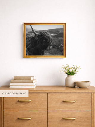 The Wanderer