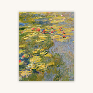 THE WATERLILY POND — Primary Image