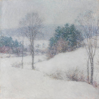 THE WHITE VEIL - Museum Quality Art