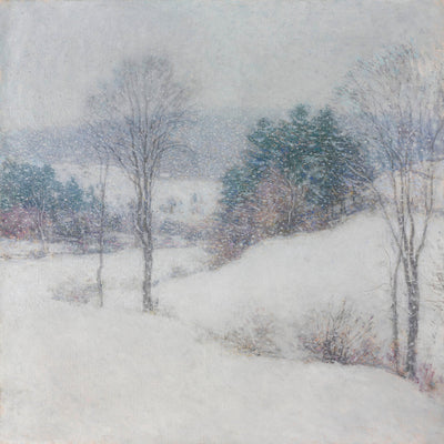 THE WHITE VEIL - Museum Quality Art