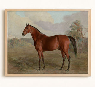 THOROUGHBRED - Museum Quality Art