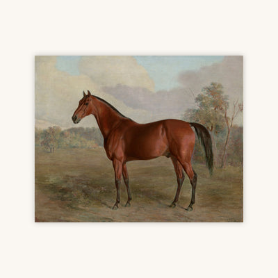 THOROUGHBRED — Primary Image