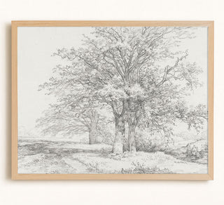 THREE TREES SKETCH - Museum Quality Art