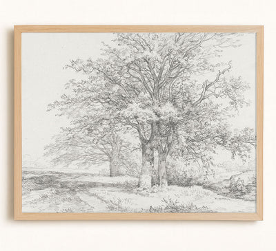 THREE TREES SKETCH - Museum Quality Art