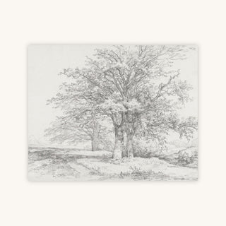 THREE TREES SKETCH — Primary Image