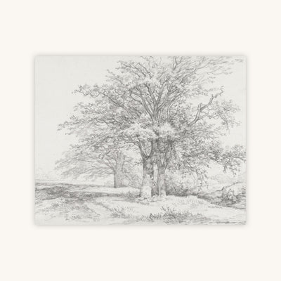 THREE TREES SKETCH — Primary Image