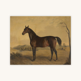 TRANBY — Primary Image