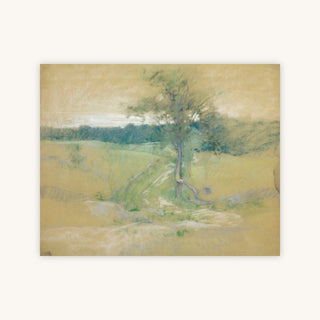 TREE BY A ROAD — Primary Image