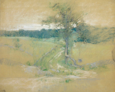 Tree by a Road