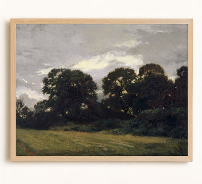 TREE GROVE - Museum Quality Art