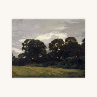 TREE GROVE — Primary Image