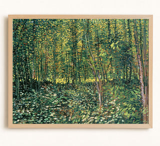 Trees and Undergrowth